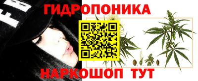 мяу мяу мука Гатчина