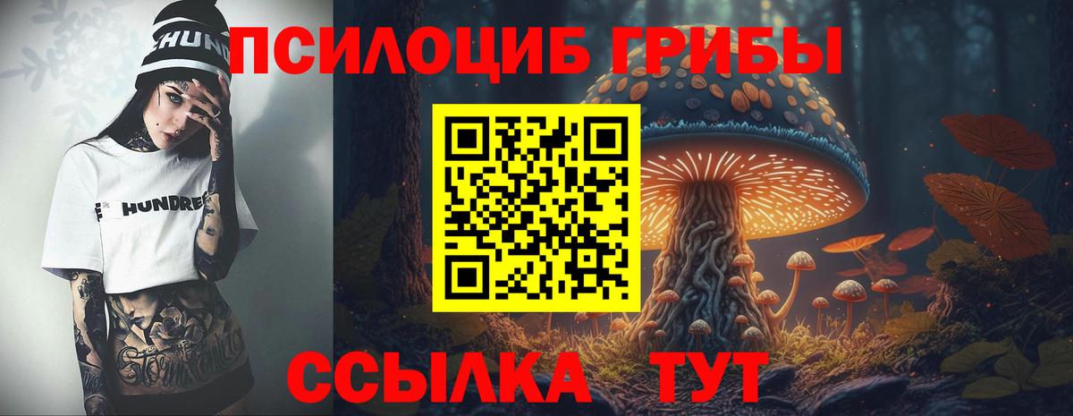 Псилоцибиновые грибы MAGIC MUSHROOMS  Вход с VPN  Новодвинск  Псилоцибиновые грибы мухоморы 
