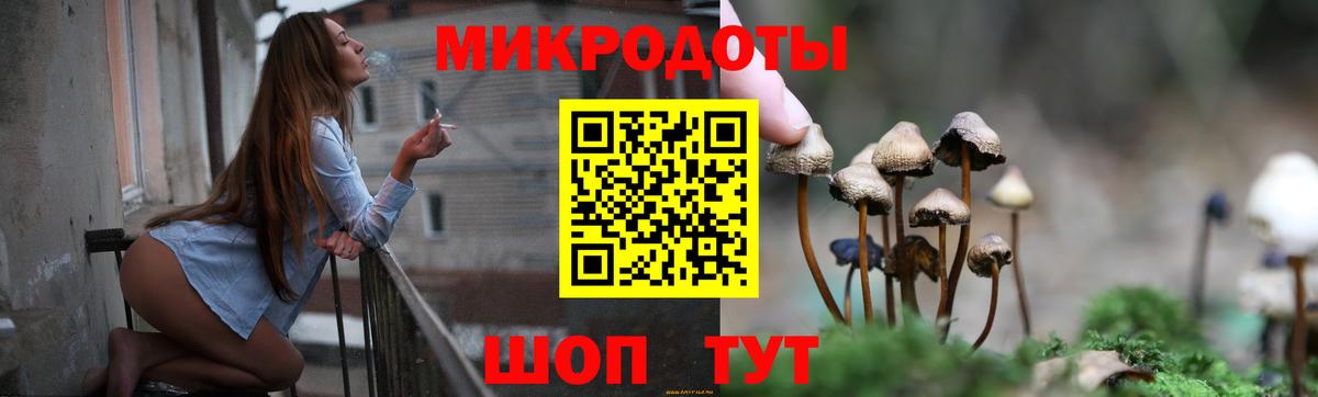 Галлюциногенные грибы Cubensis Новодвинск